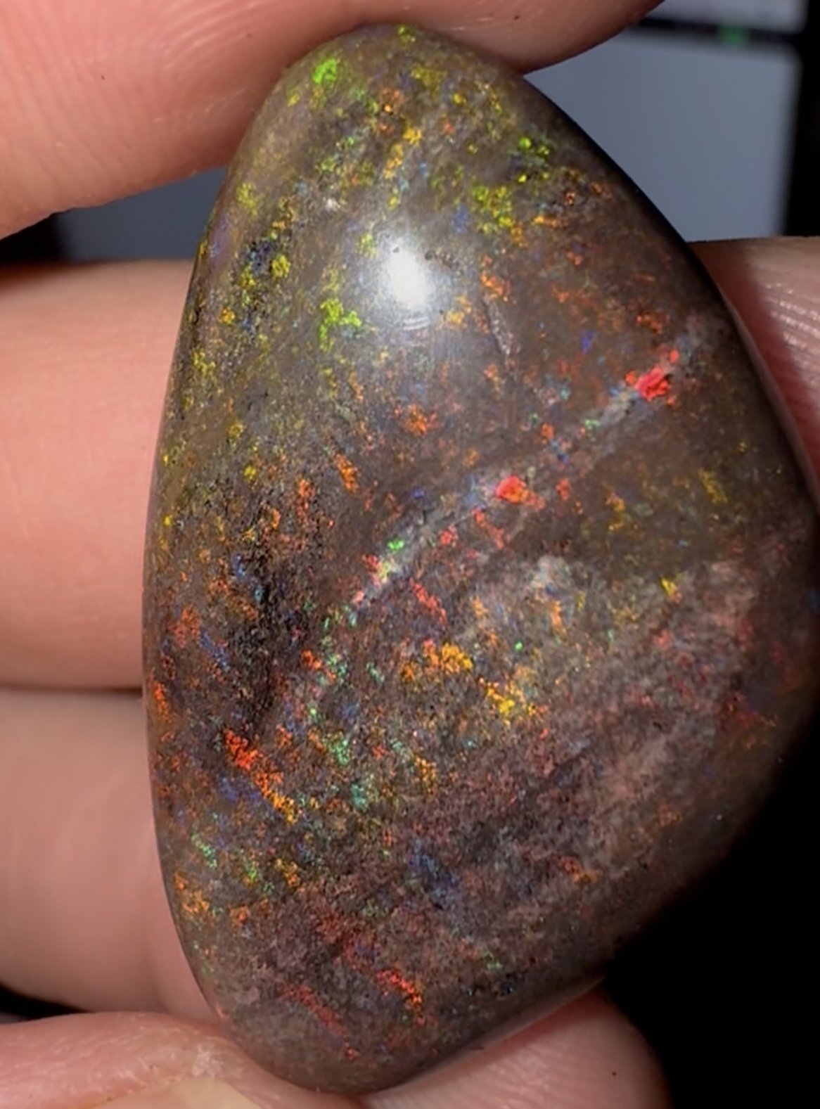 Australian Opal (Andamooka)